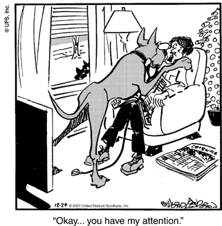 marmaduke